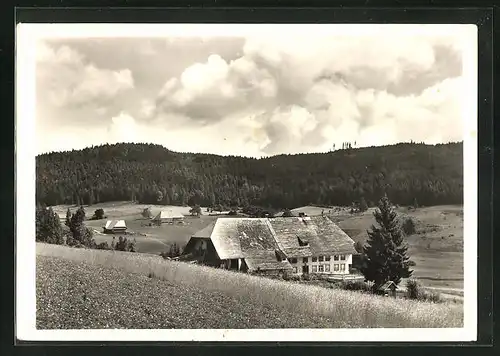 AK Lindau, Gasthaus und Pension zum Adler