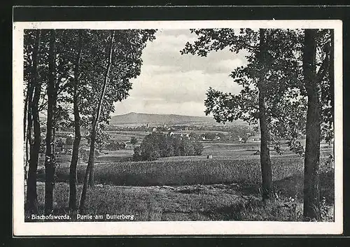 AK Bischofswerda, Partie am Butterberg, Panorama