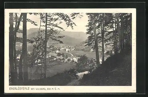 AK Enzklösterle b. Wildbad, Gesamtansicht