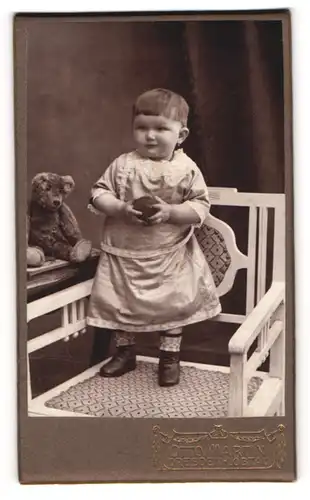 Fotografie Otto Martin, Dresden-Löbtau, Portrait Kleinkind mit Teddy