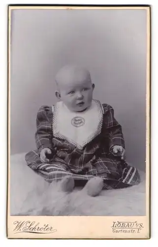 Fotografie W. Schröter, Löbau i / S., Portrait niedliches Kleinkind im karierten Kleid auf Fell sitzend