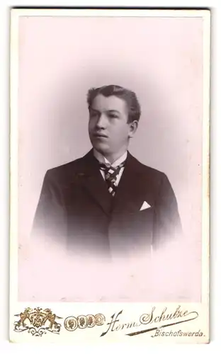 Fotografie Herm. Schulze, Bischofswerda, Portrait junger Herr im Anzug mit Krawatte