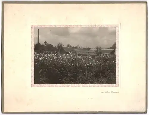 Fotografie Karl Müller, Hersbruck, Ansicht Hersbruck, Gärtnerei von Robert Schulze, Grossformat 26 x 20cm