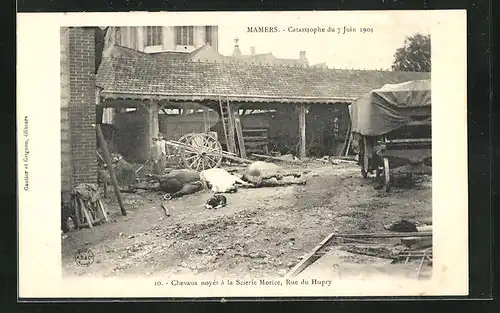 AK Mamers, Inondations / Hochwasser 1904, Verendete Pferde in der Rue du Hupry