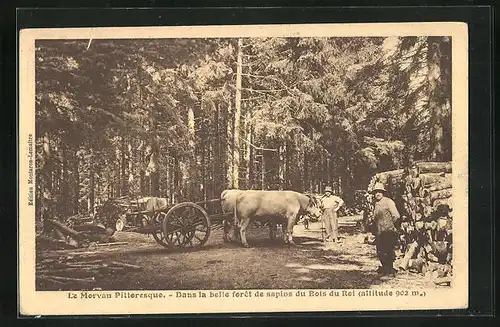 AK Le Morvan Pittoresque: Dans la belle foret de sapins du Bois du Roi, Ochsengespann