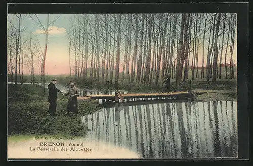 AK Brienon, La Passerelle des Alouettes