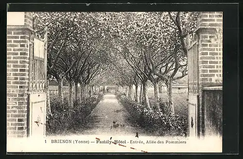 AK Brienon, Family-Hotel - Entrée, Allée des Pommiers