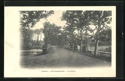 AK Charny, Les Promenades, La Digue