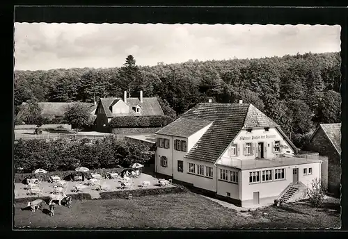 AK Trippstadt, Blick zum Gasthaus Hch. Braband