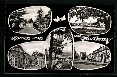 Passepartout-AK Bad Driburg, Strassenpartie, Kuranlage, Ortsansicht