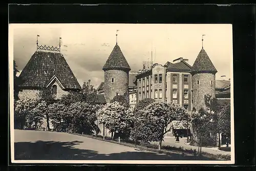 AK Tallinn, Viruväray