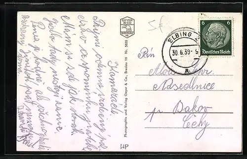 AK Elbing, Rathaus mit Anlagen und Strassenbahn