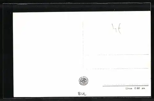 AK Samokov, Vue de la Ville