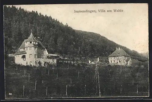 AK Immendingen, Villa am Walde