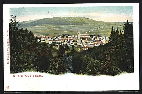 Lithographie Neustadt i. Schwarzwald, Gesamtansicht vom Wald aus