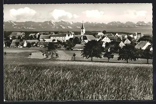 AK Birkendorf, Panorama mit Feldern