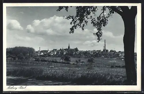 AK Bitburg, Ortsansicht mit Fabrik