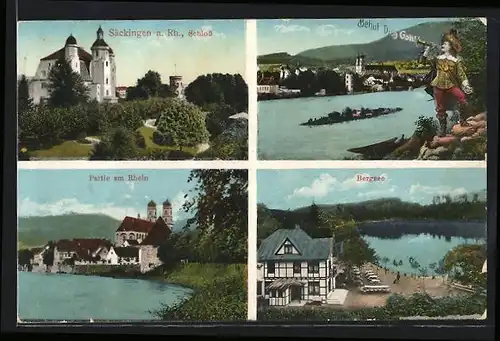 AK Säckingen am Rhein, am Schloss, Bergsee, am Rheinufer, Ortspanorama