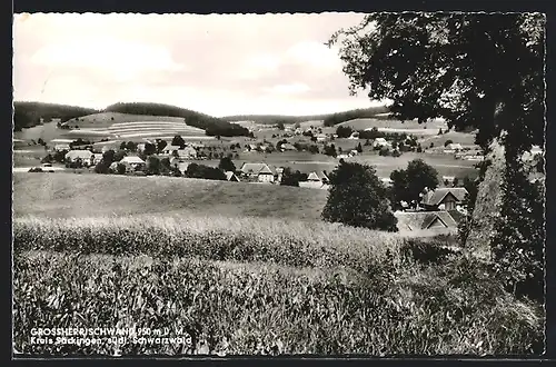 AK Grossherrischwand, Waldpartie mit Blick nach dem Ort