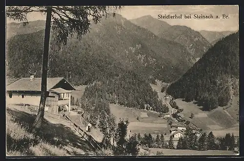 AK Steinach, Ortspartie mit Steidlerhof