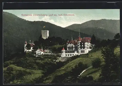 AK Hornberg /Bad. Schwarzwald, Schloss-Hotel