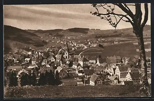 AK Furtwangen im Schwarzwald, Totalansicht