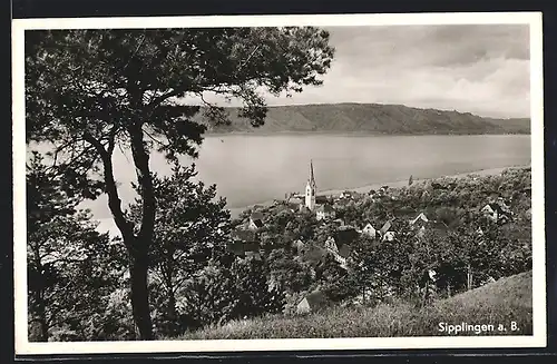 AK Sipplingen a. B., Gesamtansicht mit dem See im Hintergrund