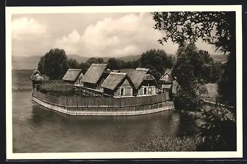 AK Unteruhldingen am Bodensee, Freilichtmuseum, Pfahldorf der Steinzeit