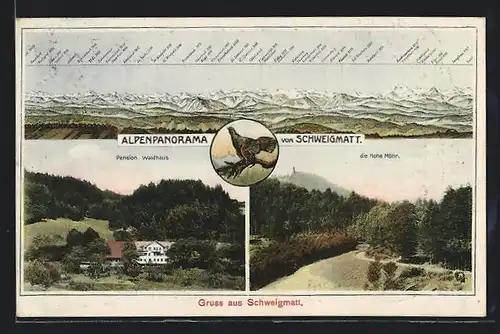 AK Schweigmatt, Pension Waldhaus, Hohe Möhr, Alpenpanorama