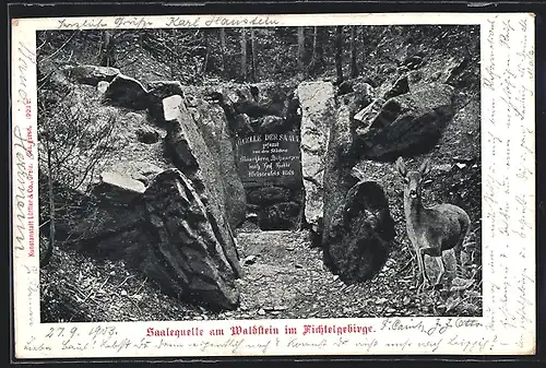 AK Zell /Fichtelgeb., Saalequelle am Waldstein