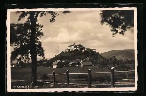 AK Mukacevo, Ortsansicht mit Burg