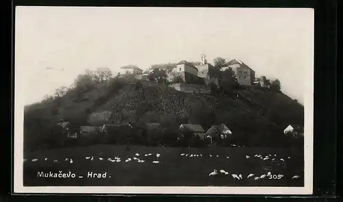 AK Mukacevo, Die Burg