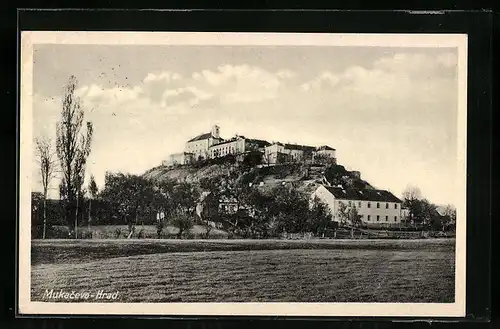 AK Mukacevo, Burg, von einem Feld gesehen