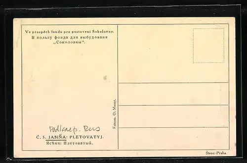 AK Jasina, Pletovatyj