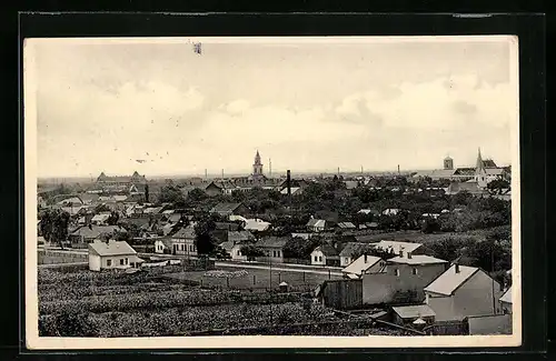 AK Berehovo, Totalansicht mit Kirchen und Häuser