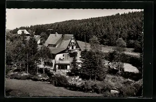 AK Schönwald in Baden, Hotel und Pension Inselklause