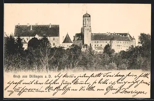 AK Dillingen, Blick auf das Schloss