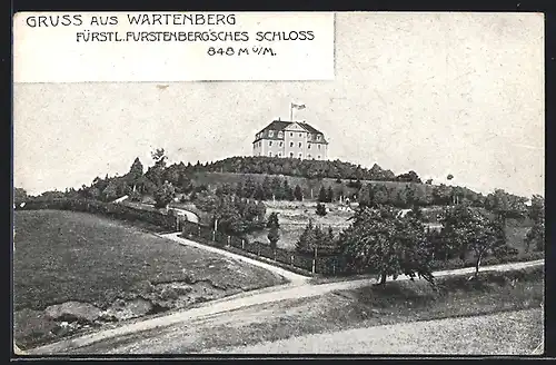 AK Geisingen, Blick auf Wartenberg m. Fürstl. Furstenberg`schem Schloss