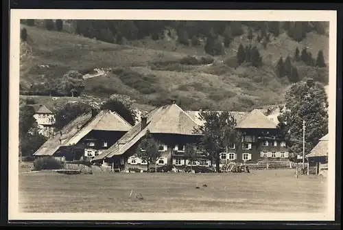 AK Bernau-Hof, Schwarzwald-Häuser