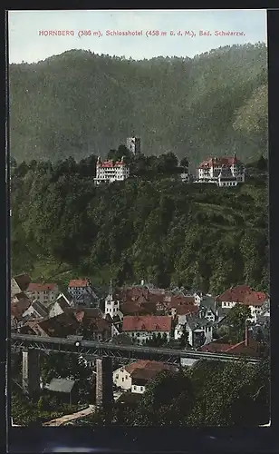 AK Hornberg, Ortsansicht mit Schlosshotel