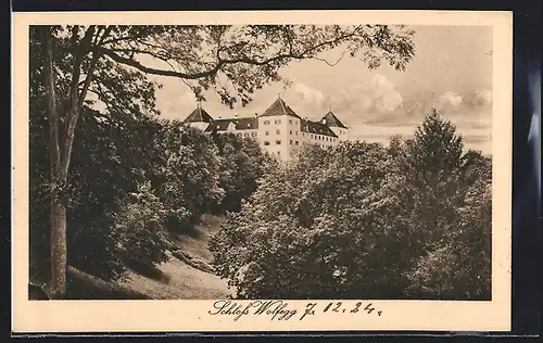 AK Wolfegg, Schloss Wolfegg