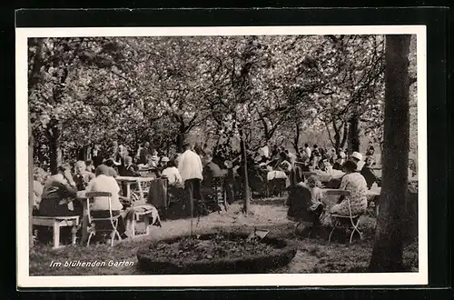 AK Günendeich-Lühe, Gasthaus Zur schönen Fernsicht, Garten