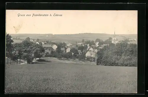 AK Frankenstein b. Öderan, Ortsansicht bei Tag