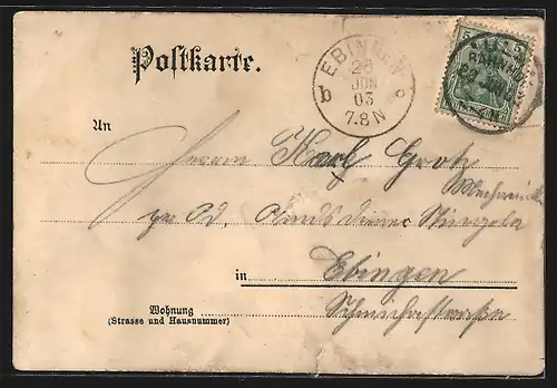 Lithographie Ulm, Schneider von Ulm und Ortsansicht vom Wasser aus