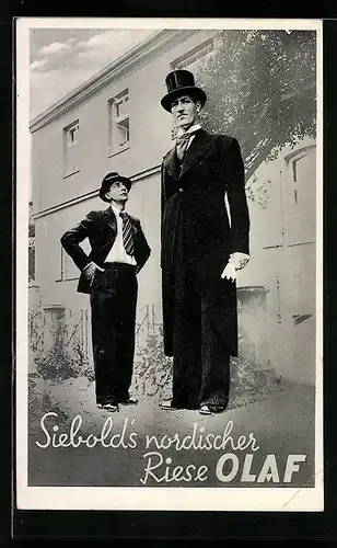 AK Siebold`s nordischer Riese Olaf