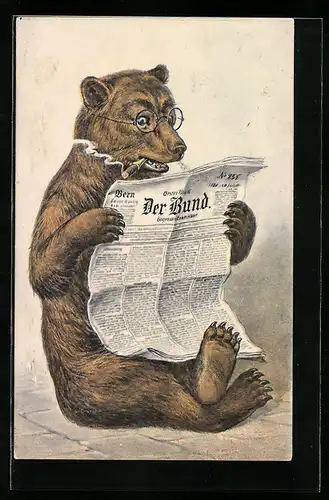 AK Bär mit Brille liest die Zeitung, vermenschlichte Tiere