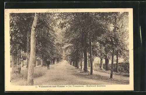 AK Villeneuve-sur-Yonne, Les Promenades, Boulevard Gambetta