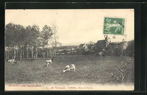 AK Cheny, Dans la Prairie