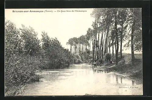 AK Brienon-sur-Armancon, Un faux bras de l'Armancon