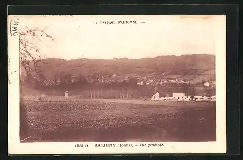 AK Saligny, Vue générale